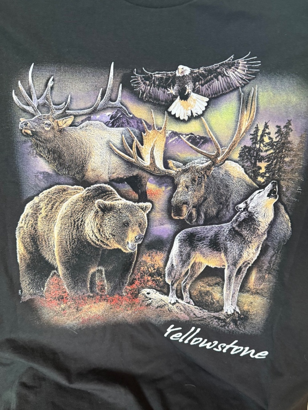 NWT Yellowstone National Park T Shirt 3XL